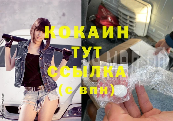 соль ск Алзамай
