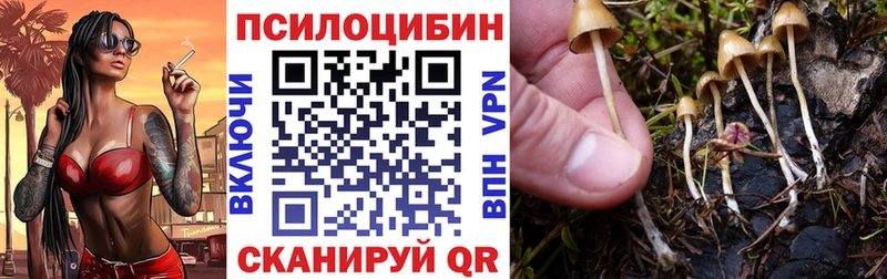 Галлюциногенные грибы MAGIC MUSHROOMS  Карабаш 